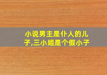 小说男主是仆人的儿子,三小姐是个假小子