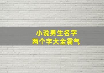 小说男生名字两个字大全霸气