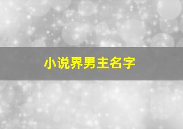 小说界男主名字