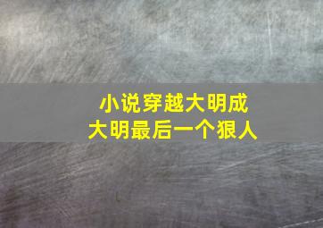 小说穿越大明成大明最后一个狠人