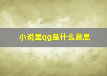 小说里qg是什么意思