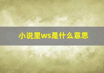 小说里ws是什么意思