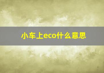 小车上eco什么意思