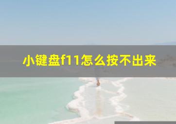 小键盘f11怎么按不出来