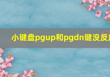 小键盘pgup和pgdn键没反应