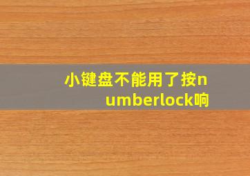 小键盘不能用了按numberlock响