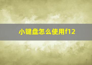 小键盘怎么使用f12