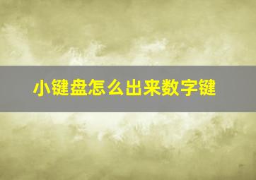 小键盘怎么出来数字键