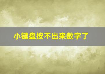 小键盘按不出来数字了