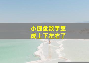 小键盘数字变成上下左右了