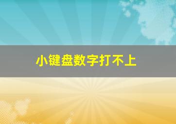 小键盘数字打不上