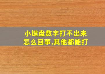 小键盘数字打不出来怎么回事,其他都能打