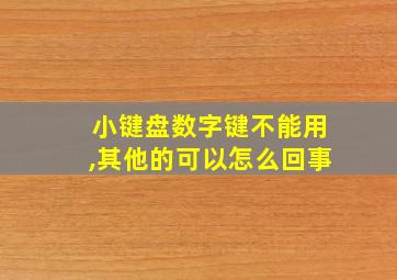 小键盘数字键不能用,其他的可以怎么回事