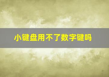 小键盘用不了数字键吗