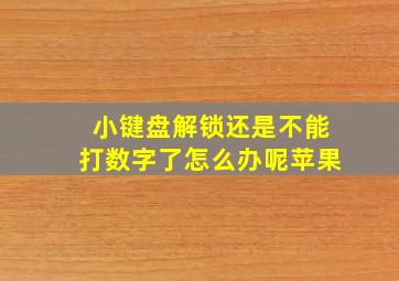 小键盘解锁还是不能打数字了怎么办呢苹果