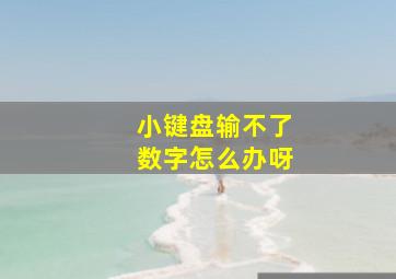 小键盘输不了数字怎么办呀