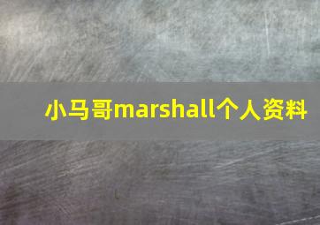 小马哥marshall个人资料