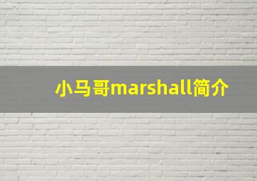 小马哥marshall简介