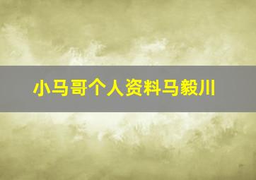 小马哥个人资料马毅川