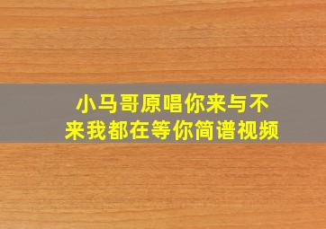 小马哥原唱你来与不来我都在等你简谱视频