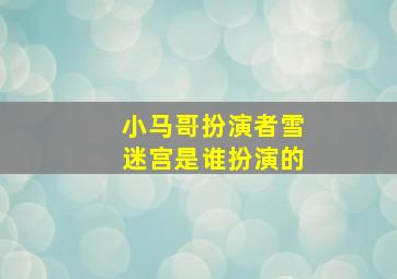 小马哥扮演者雪迷宫是谁扮演的