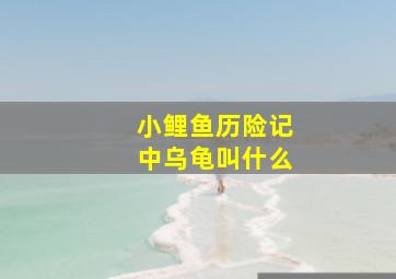 小鲤鱼历险记中乌龟叫什么