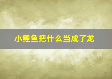 小鲤鱼把什么当成了龙