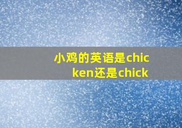 小鸡的英语是chicken还是chick