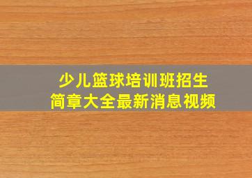 少儿篮球培训班招生简章大全最新消息视频