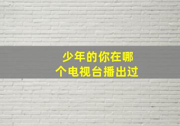 少年的你在哪个电视台播出过