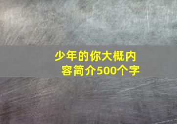 少年的你大概内容简介500个字