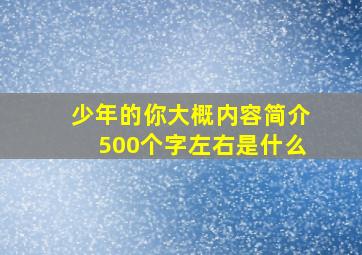 少年的你大概内容简介500个字左右是什么