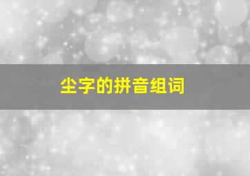 尘字的拼音组词