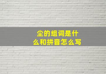 尘的组词是什么和拼音怎么写