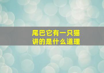 尾巴它有一只猫讲的是什么道理