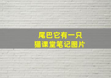 尾巴它有一只猫课堂笔记图片