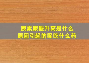 尿素尿酸升高是什么原因引起的呢吃什么药