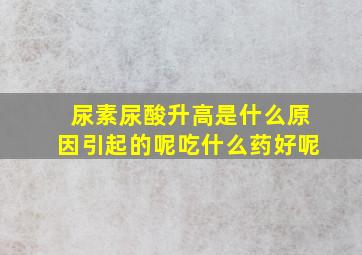 尿素尿酸升高是什么原因引起的呢吃什么药好呢