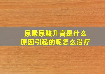 尿素尿酸升高是什么原因引起的呢怎么治疗