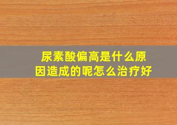 尿素酸偏高是什么原因造成的呢怎么治疗好