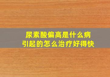 尿素酸偏高是什么病引起的怎么治疗好得快