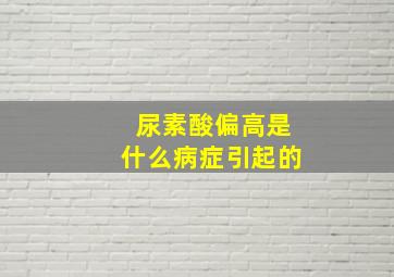 尿素酸偏高是什么病症引起的