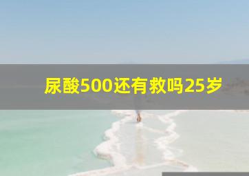 尿酸500还有救吗25岁