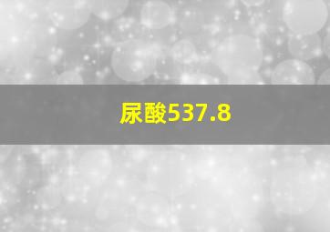 尿酸537.8