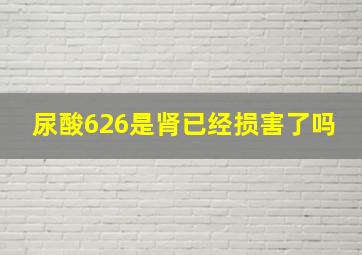 尿酸626是肾已经损害了吗