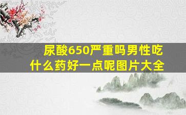 尿酸650严重吗男性吃什么药好一点呢图片大全