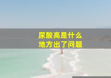 尿酸高是什么地方出了问题