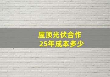 屋顶光伏合作25年成本多少