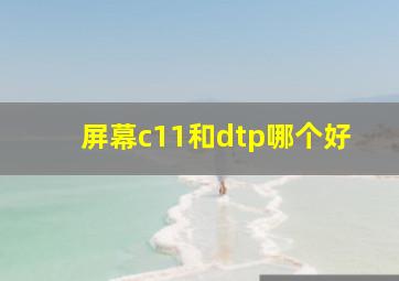 屏幕c11和dtp哪个好