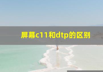 屏幕c11和dtp的区别